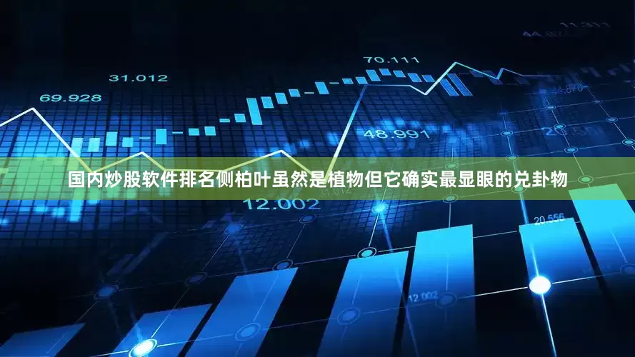 国内炒股软件排名侧柏叶虽然是植物但它确实最显眼的兑卦物