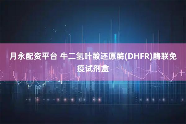 月永配资平台 牛二氢叶酸还原酶(DHFR)酶联免疫试剂盒