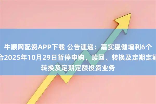 牛顺网配资APP下载 公告速递：嘉实稳健增利6个月持有混合2025年10月29日暂停申购、赎回、转换及定期定额投资业务