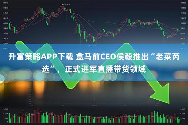 升富策略APP下载 盒马前CEO侯毅推出“老菜芮选”，正式进军直播带货领域