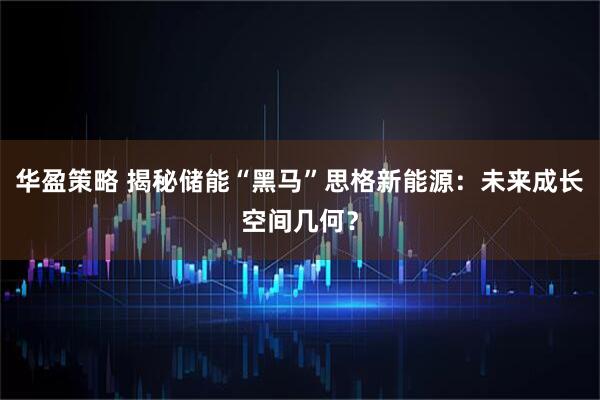 华盈策略 揭秘储能“黑马”思格新能源：未来成长空间几何？